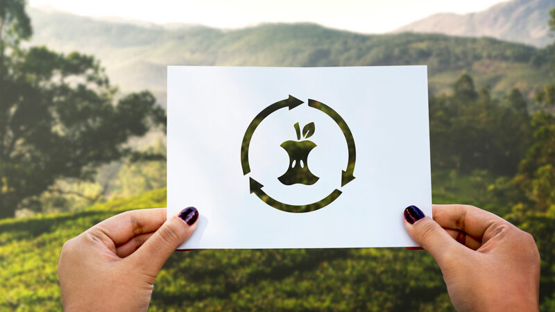 Guardare e studiare la natura, ha permesso negli anni di comprenderne le dinamiche e di poterle sfruttare a nostro vantaggio.